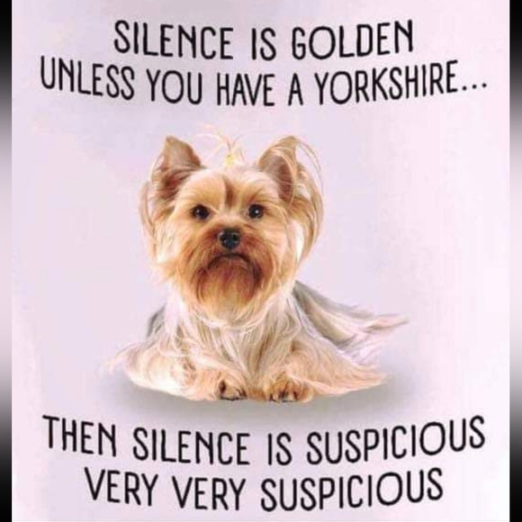 Meet your Posher, Seema - Picture 5 of 14